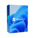 WINDOWS